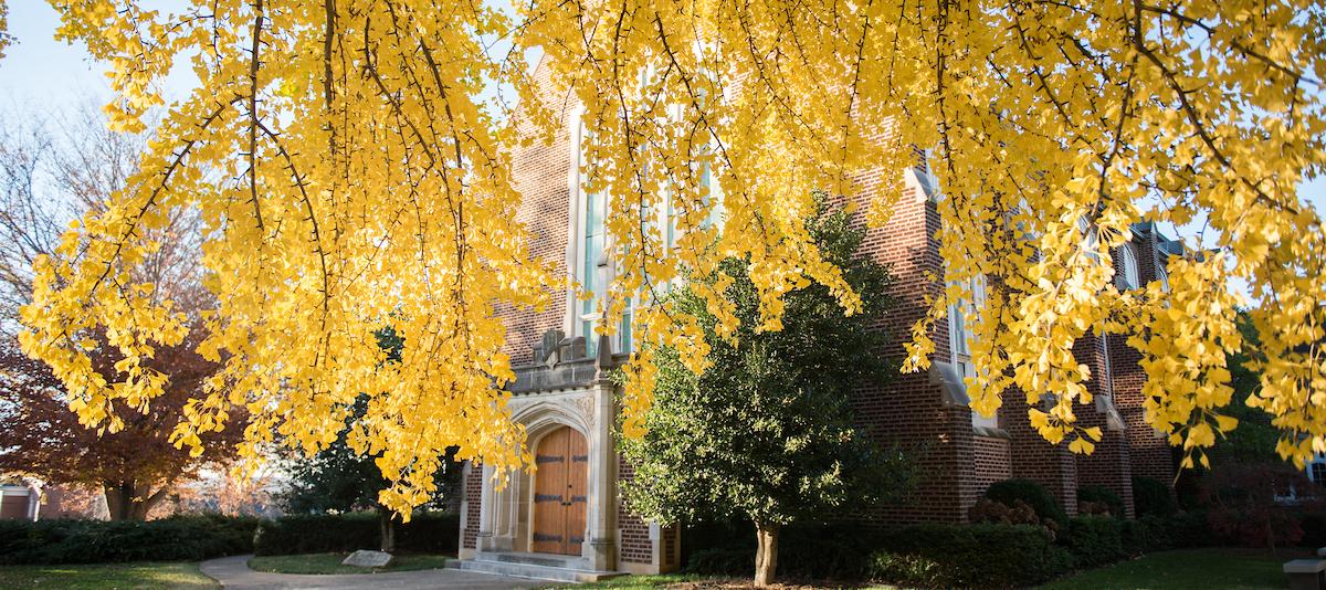 Campus fall of 2017